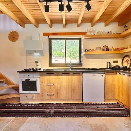 Kocaarmut 1 Villa