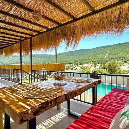 Kocaarmut 1 * Kaş