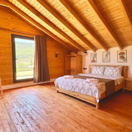 Kocaarmut 1 * Kas