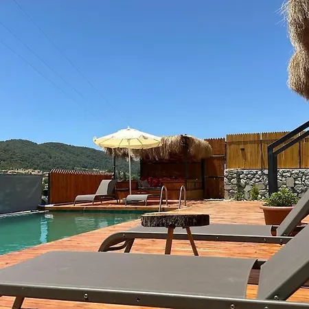 Villa Kocaarmut 1